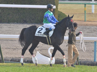 新馬　本馬場入場