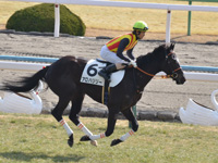 未勝利　キャンター