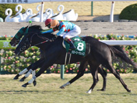 第58回 きさらぎ賞（ＧIII）　ゴール前（外2着）