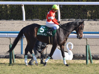 第58回 きさらぎ賞（ＧIII）　本馬場入場