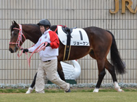 新馬　パドック