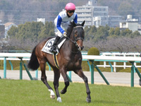 新馬　キャンター
