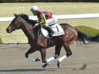 未勝利　キャンター