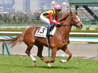 未勝利　キャンター