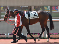 未勝利　パドック