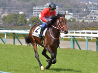 未勝利　キャンター