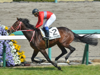 未勝利　ゴール前