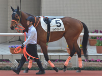 500万下　パドック