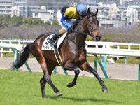 未勝利　キャンター
