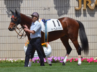 未勝利　パドック