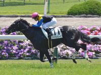 500万下　ゴール前