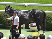 500万下　口取り