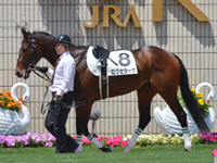 500万下　パドック