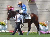 500万下　パドック（騎乗周）