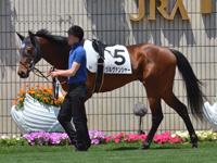 500万下　パドック