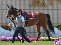 第66回 京都新聞杯（ＧII）　パドック