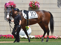 未勝利　パドック