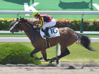 未勝利　ゴール前