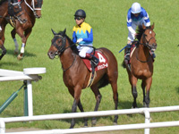 第66回 京都新聞杯（ＧII）　レース後