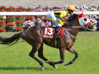 第66回 京都新聞杯（ＧII）　キャンター