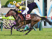 第66回 京都新聞杯（ＧII）　ゴール前