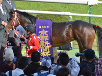 第66回 京都新聞杯（ＧII）　口取り