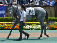 500万下　パドック
