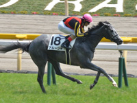 500万下　ゴール前