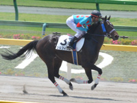 未勝利　キャンター