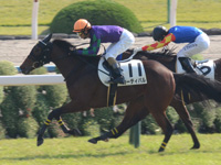 京都5R　新馬（牝）　カーティバル