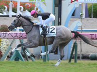 京都3R　未勝利　パクスアメリカーナ