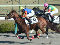 阪神1R　未勝利　カタトゥンボ