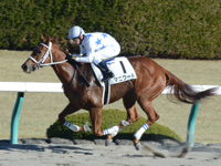 阪神1R　未勝利　マニクール