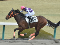 阪神2R　未勝利 サンライズルーク