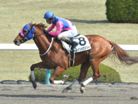 阪神2Ｒ　未勝利