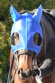 アカネサス写真