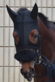 クロスオブヴァロー写真
