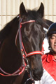 ディスモーメント写真