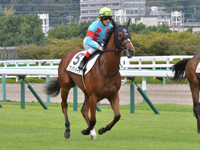 新馬　キャンター