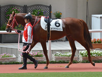 未勝利　パドック