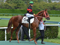 未勝利　本馬場入場