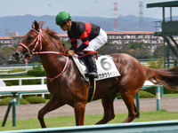 未勝利　キャンター