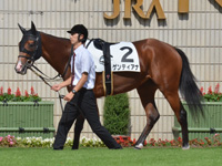 新馬　パドック