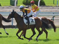 新馬　キャンター