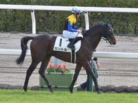 新馬　本馬場入場