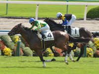 新馬　ゴール前（内2着）