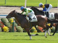 新馬　ゴール前