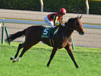 第7回 アルテミスステークス（ＧIII）　キャンター