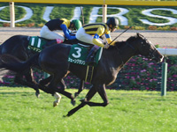 第7回 アルテミスステークス（ＧIII）　ゴール前