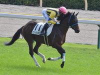 未勝利（牝）　キャンター